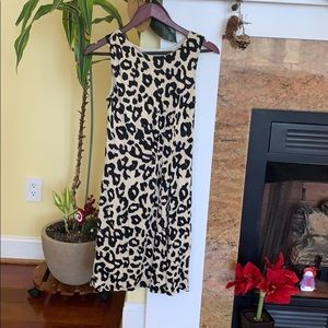 Business Casual LOFT Dress